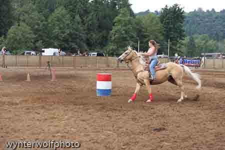 IMG_0062_0697
