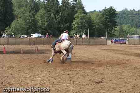 IMG_0221_0856
