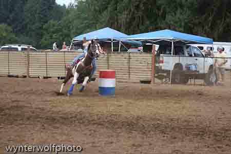 IMG_0371_1006