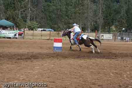 IMG_0373_1008