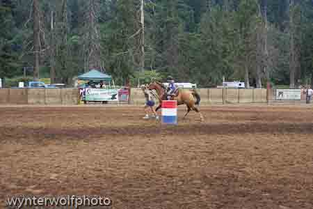 barrels_0238