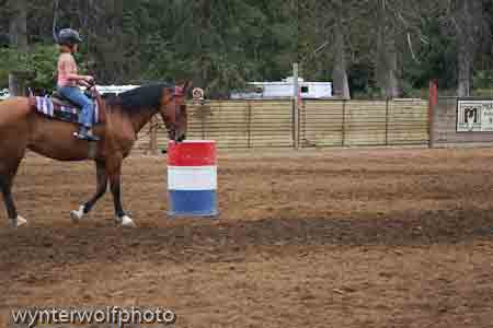 barrels_0319