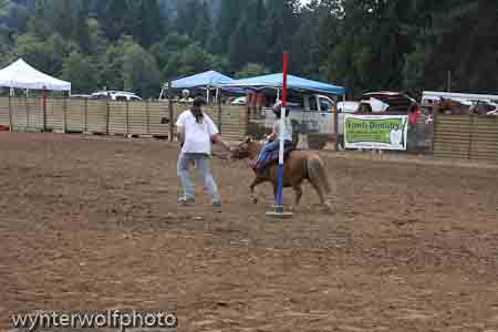 figure 8_4002