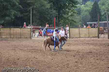 figure 8_4004