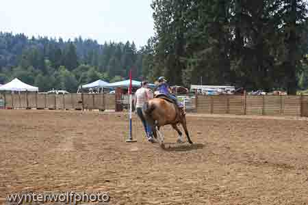 figure 8_4010