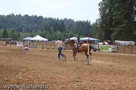 figure 8_4011