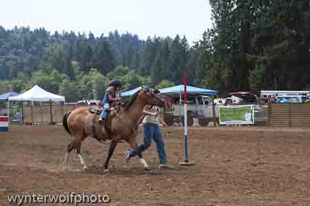 figure 8_4016