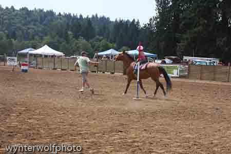 figure 8_4031