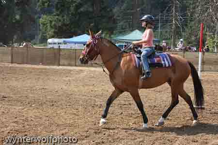 figure 8 pt 2_5025