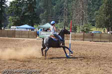 figure 8 pt 2_5041