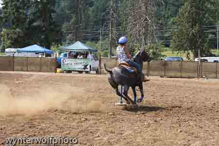 figure 8 pt 2_5042
