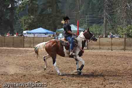 figure 8 pt 2_5114