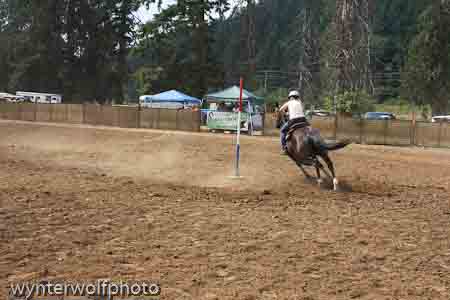 figure 8 pt 2_5124