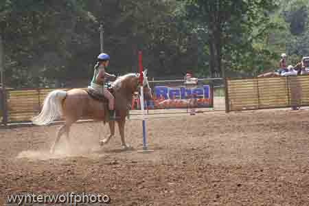 figure 8 pt 2_5141