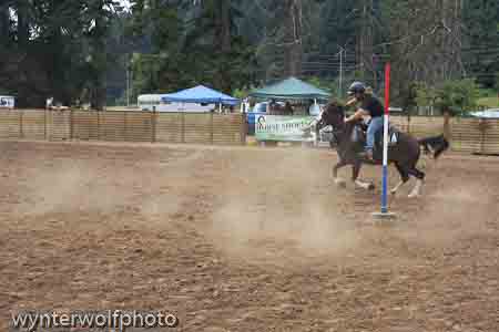 figure 8 pt 2_5183