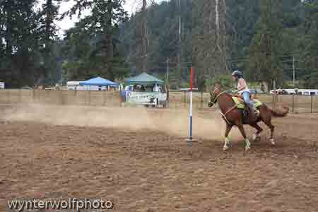 figure 8 pt 2_5196