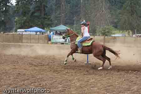 figure 8 pt 2_5201