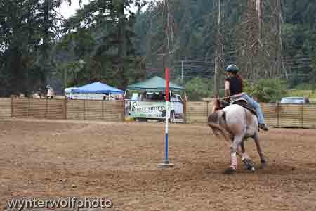 figure 8 pt 2_5214