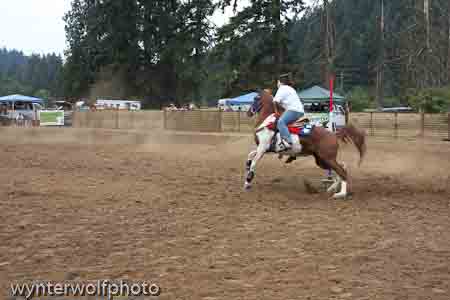 figure 8 pt 2_5263