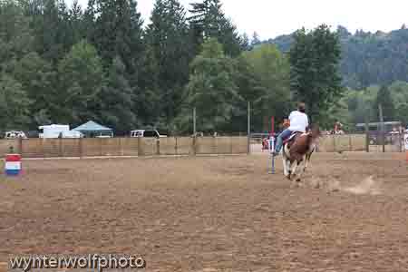 figure 8 pt 2_5270