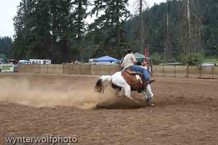 figure 8 pt 2_5273