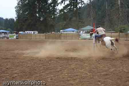 figure 8 pt 2_5284