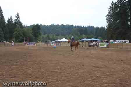 figure 8 pt 2_5301