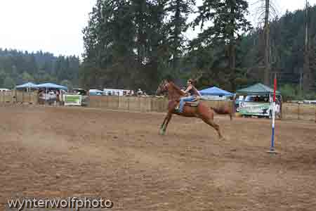 figure 8 pt 2_5312