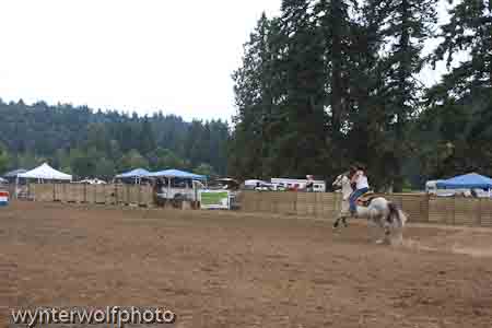 figure 8 pt 2_5328