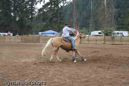 figure 8 pt 2_5338