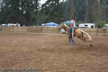 figure 8 pt 2_5339
