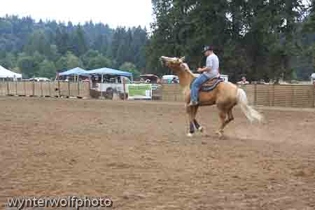 figure 8 pt 2_5340