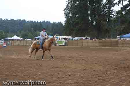 figure 8 pt 2_5341