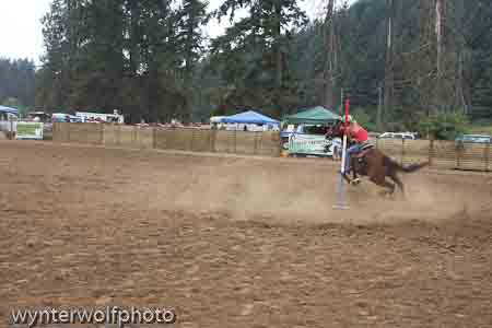 figure 8 pt 2_5351
