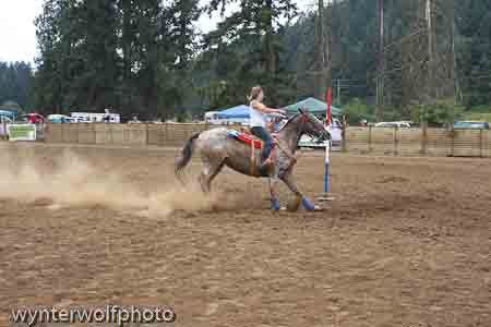 figure 8 pt 2_5356