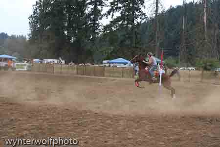 figure 8 pt 2_5376