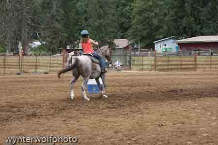 IMG_0434_1069