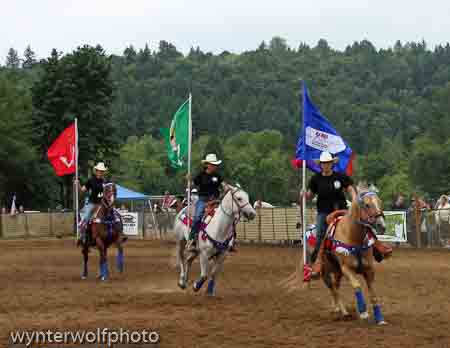 IMG_3707 copy